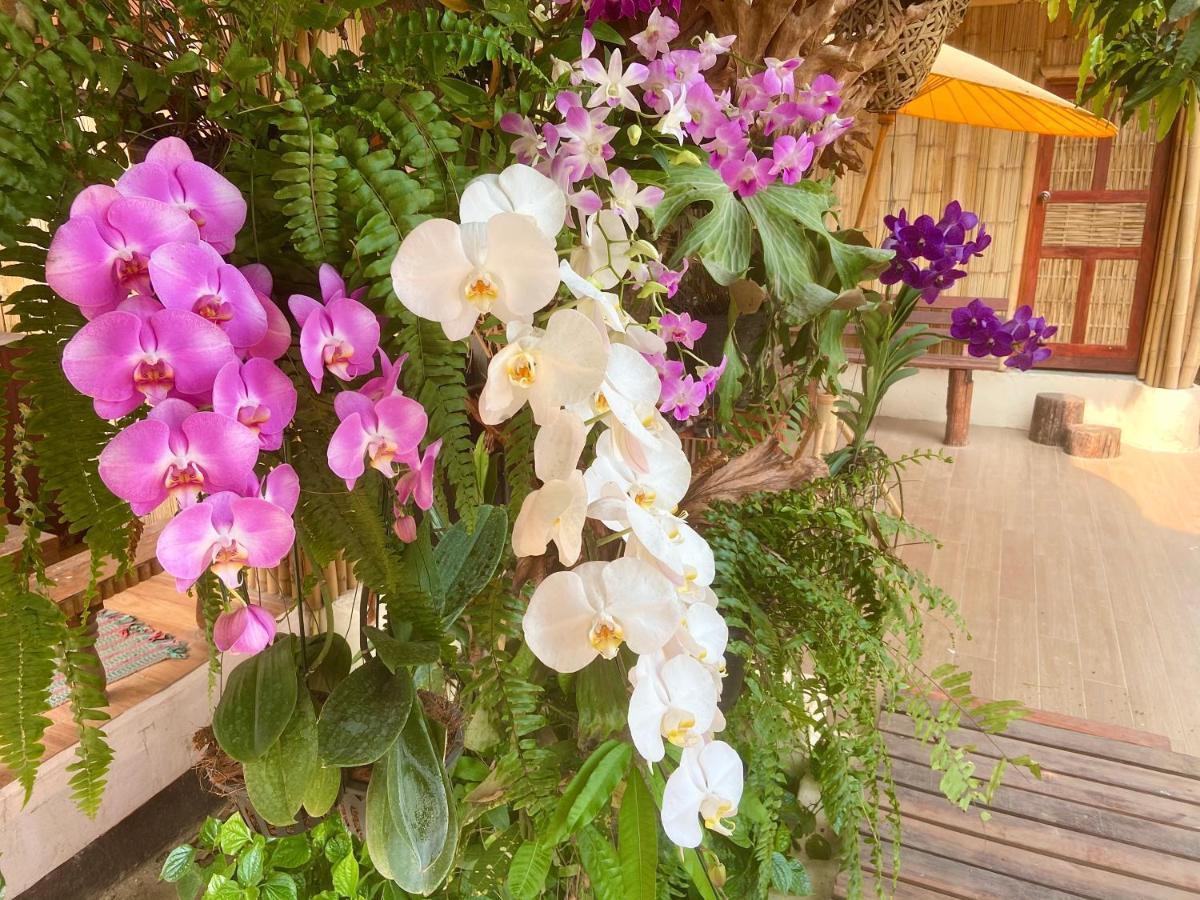 Ban Rai Jai Chaem - Spa Cafe & Homestay Εξωτερικό φωτογραφία